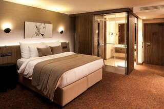 Отель Kronwell Brasov Hotel Брашов Двухместный номер бизнес-класса с 1 кроватью или 2 отдельными кроватями-2